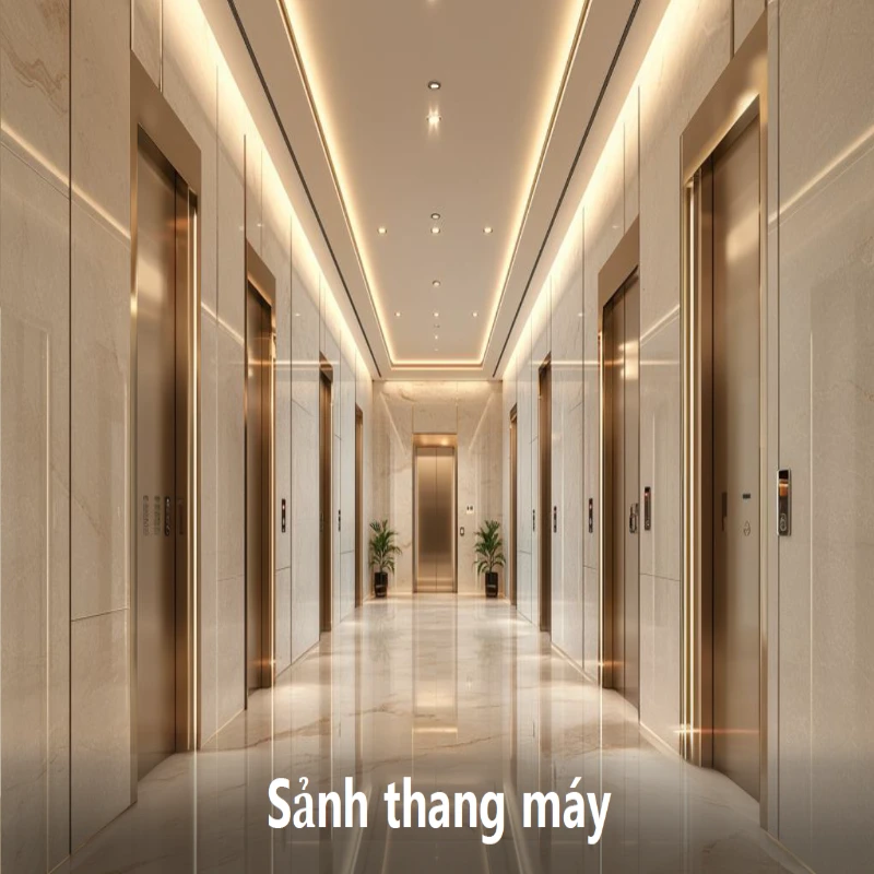 Sảnh Thang Máy